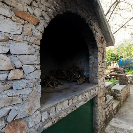 House Vlajcevic * 特罗吉尔